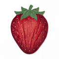 Strawberry Blanket